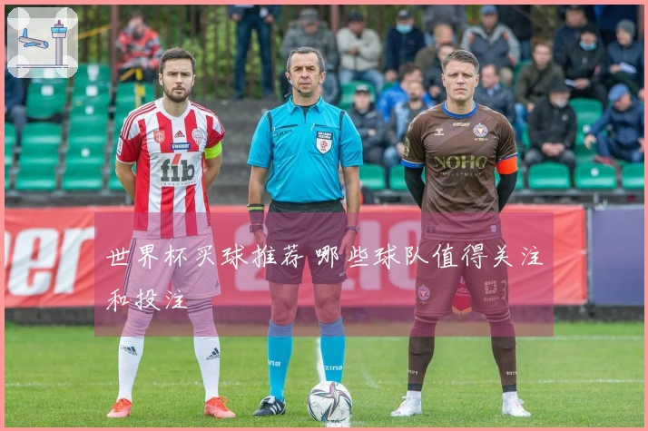 世界杯买球推荐 哪些球队值得关注和投注