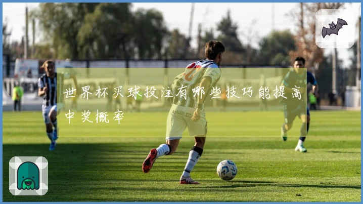 世界杯买球投注有哪些技巧能提高中奖概率