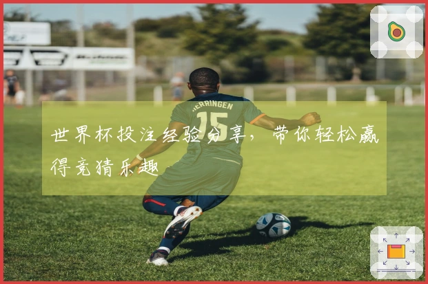 世界杯投注经验分享，带你轻松赢得竞猜乐趣