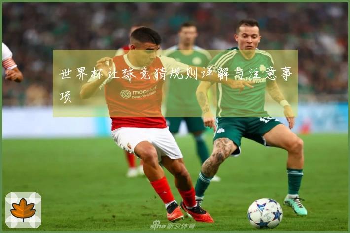 世界杯让球竞猜规则详解与注意事项