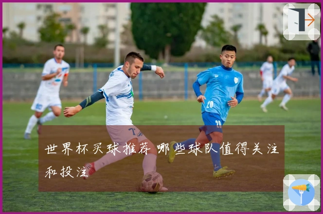 世界杯买球推荐 哪些球队值得关注和投注